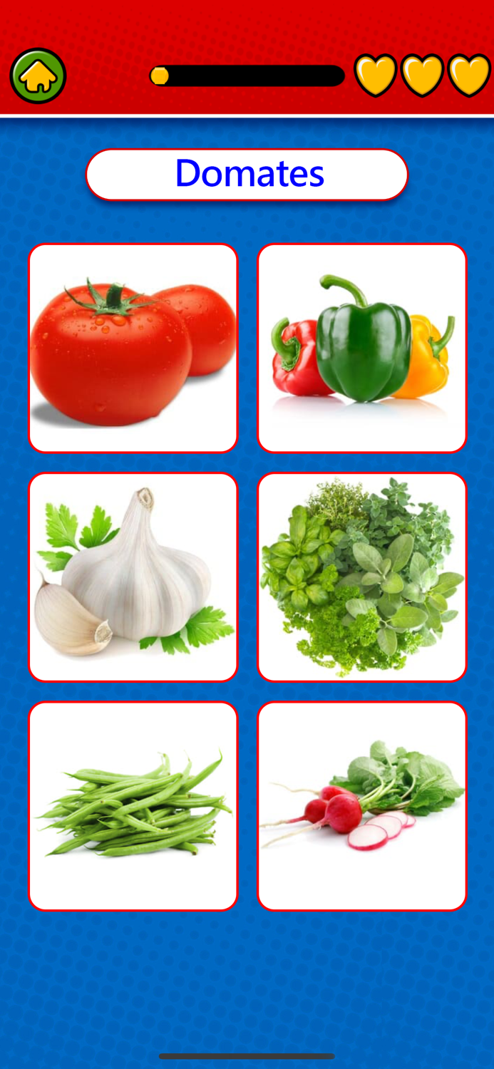 Game to learn Turkish Voca