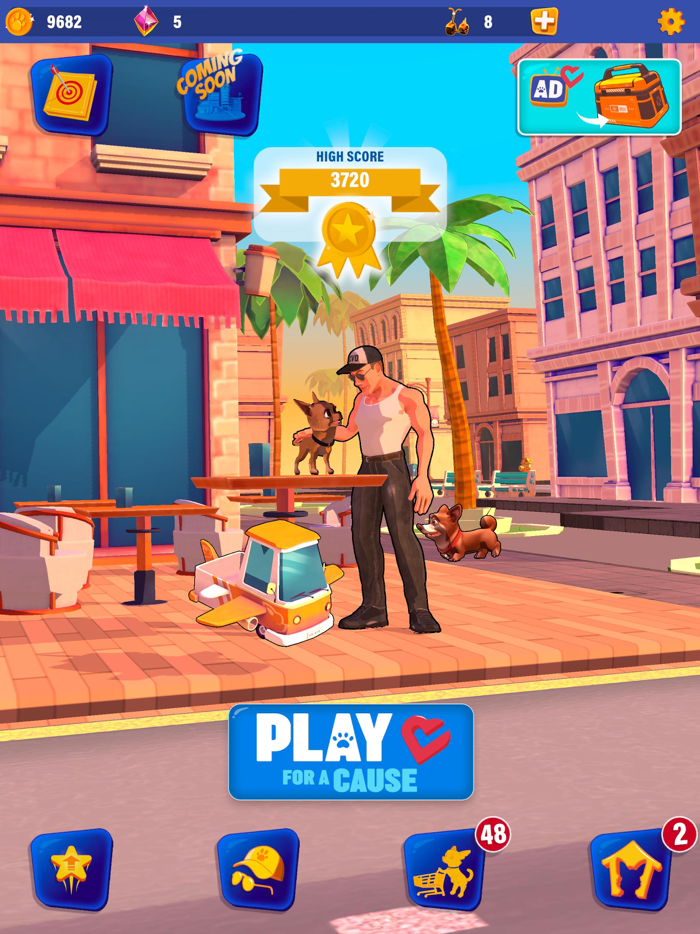 VAN DAMME  Dawn of Chihuahuas