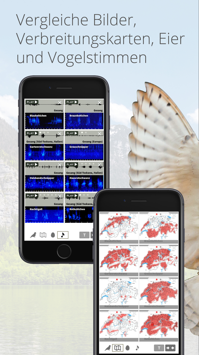 Vögel in Österreich