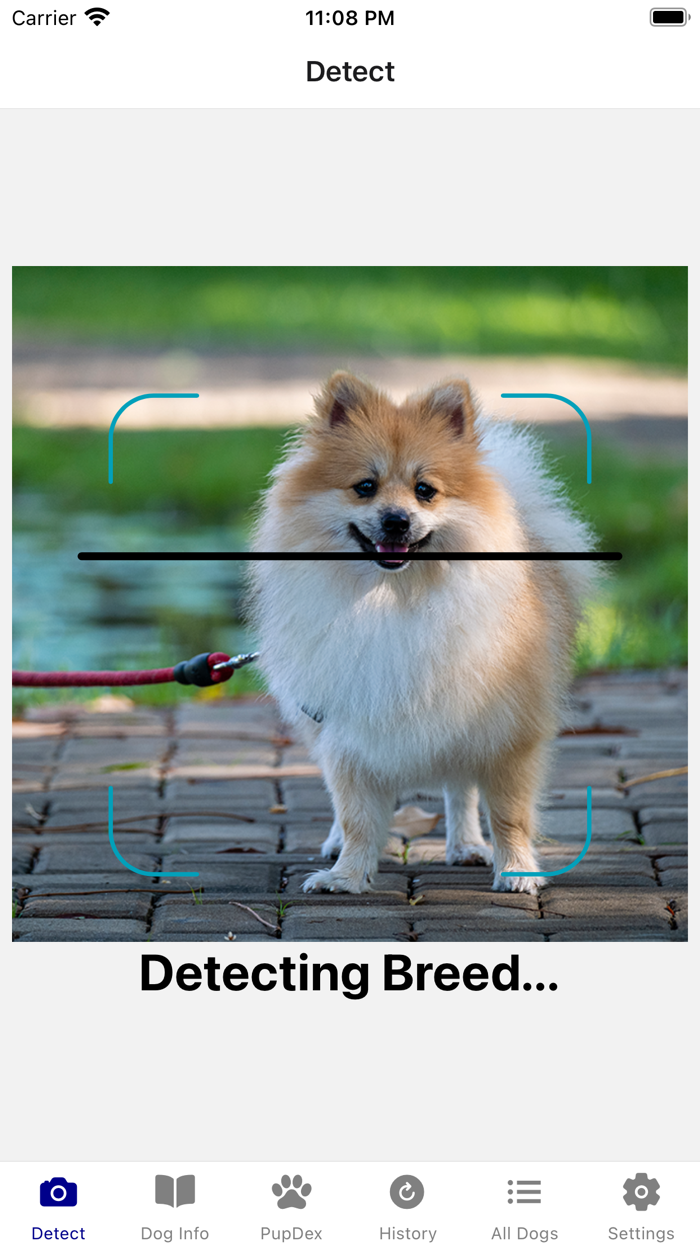 Dog Breed Identifier - PupDex