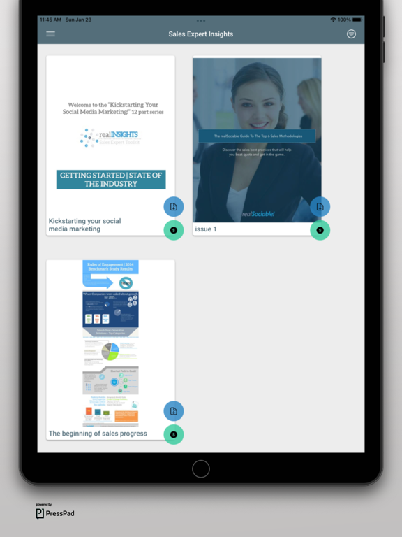Screenshot #4 pour Sales Expert Insights