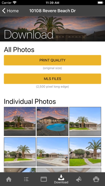 Illuminate Photography