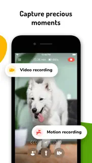 barkio: dog monitor & pet cam iphone screenshot 4