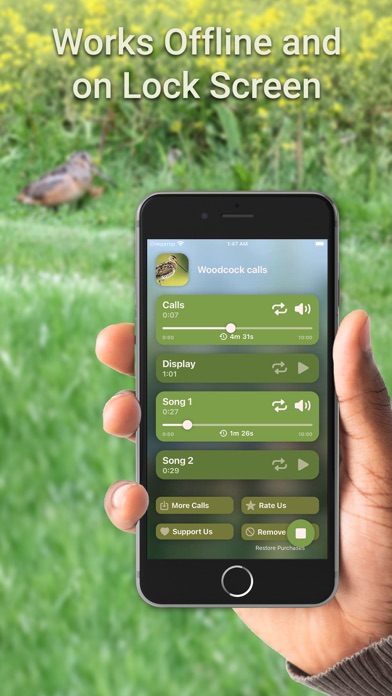Hunting Calls: Woodcock Screenshot