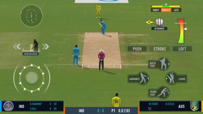 Real Cricket™ 24 Screenshot