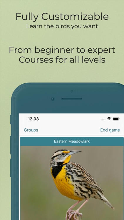 Learn Bird Watching—Larkwire screenshot-7