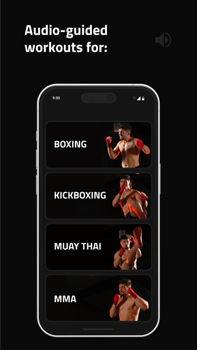 Spartan Punching Screenshot