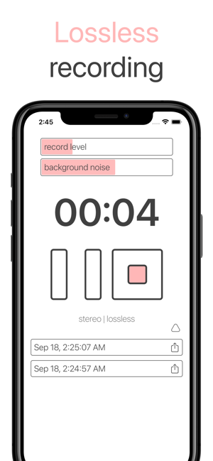 ‎Stereo Recorder Screenshot