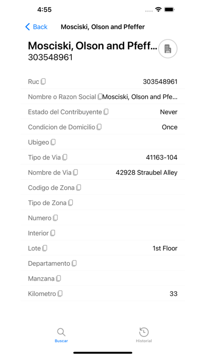 Consulta RUC Screenshot