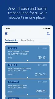 u.s. bank pivot iphone screenshot 4