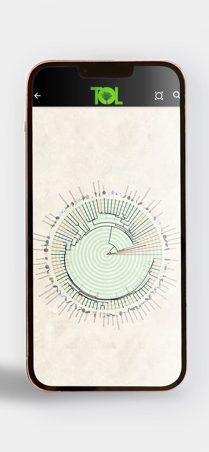 Tree of Life - ToL App