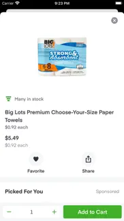 big lots: fast delivery problems & solutions and troubleshooting guide - 4