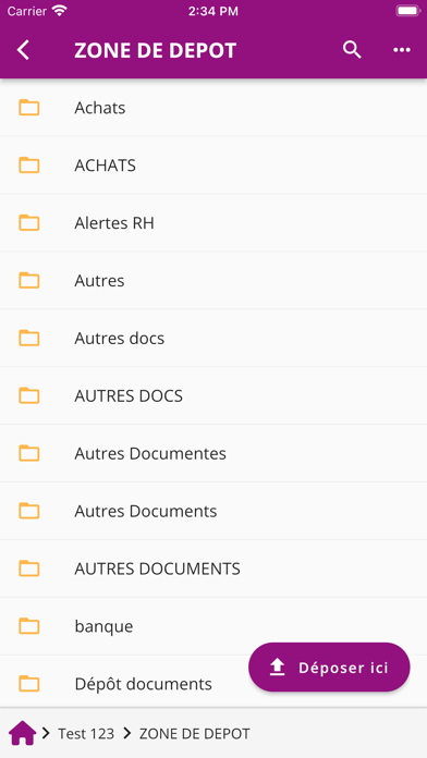 Screenshot #1 pour Avenir Experts