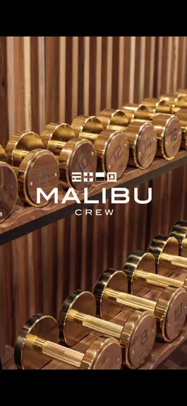Game screenshot Malibu Crew mod apk