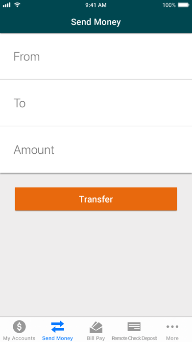 Avenir Financial Screenshot