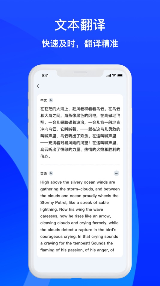 #3. AI Translate:Translator (iOS) 由: 炯 朱