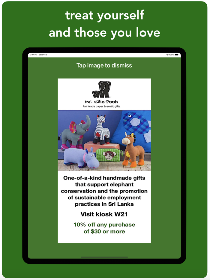 PlaceChase ChristmasWindows