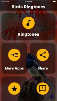 birds ringtones iphone screenshot 2
