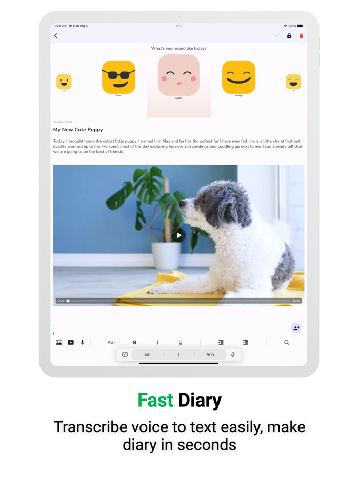 Diary with Lock Daily Journal
