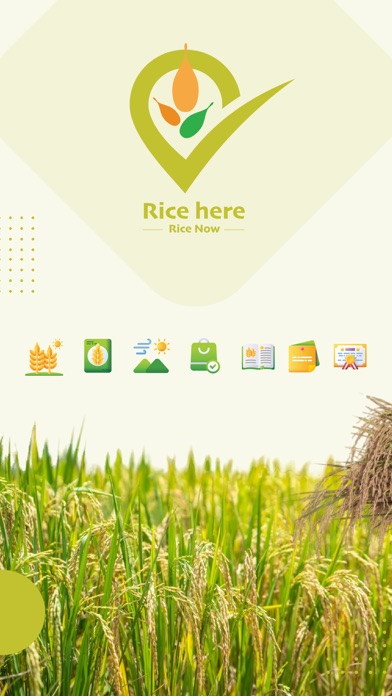Rice Here Screenshot
