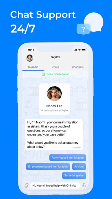 Skylex - Immigration Lawyer Screenshot
