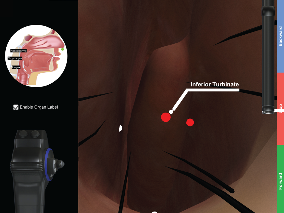 #2. ENT Scope (Virtual Training) (iOS) 由: APost