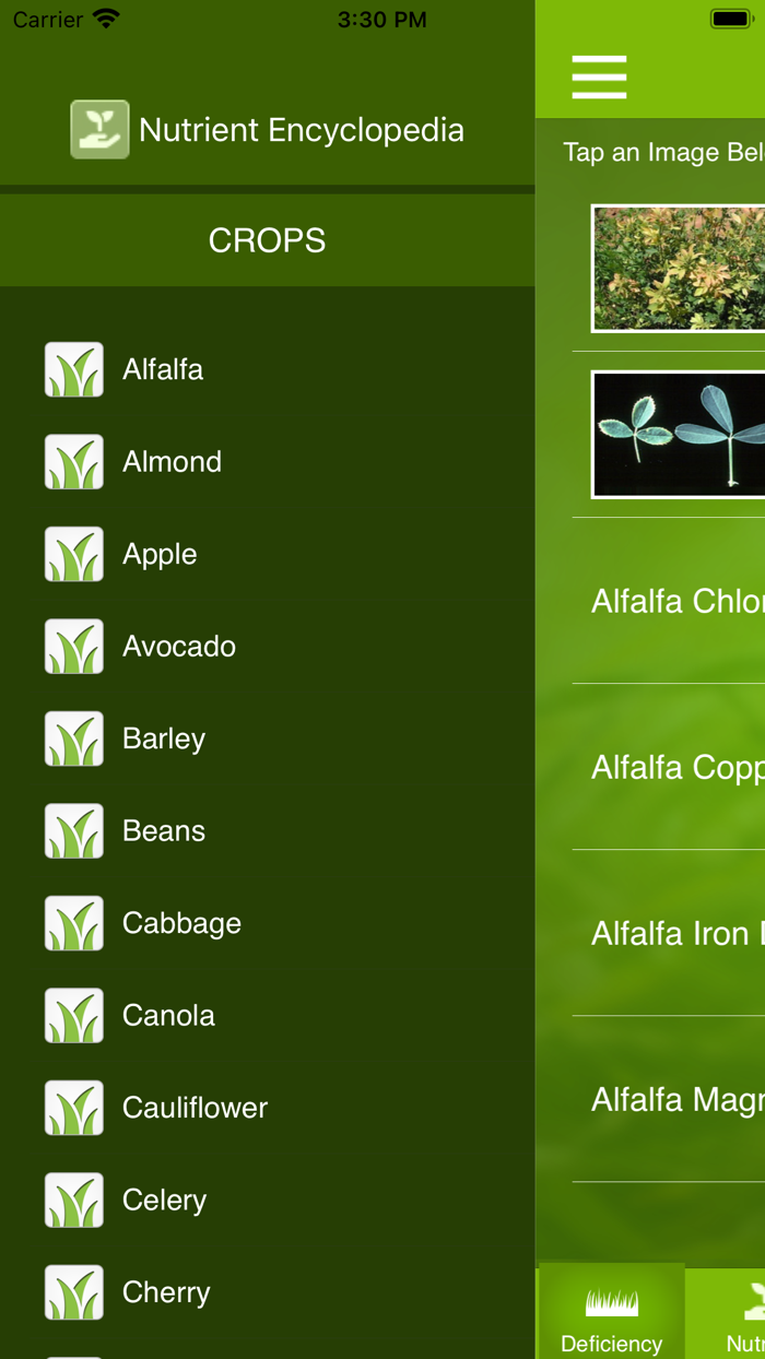 Nutrient Deficiencies by Crop