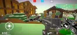Game screenshot Block GUN 3D: FPS Shooter apk