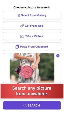 Game screenshot Reverse Image Search – rimg apk