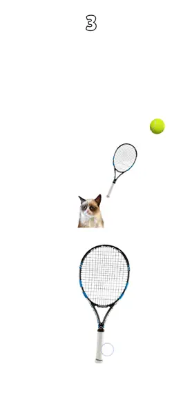 Game screenshot Cat Playing Tennis mod apk