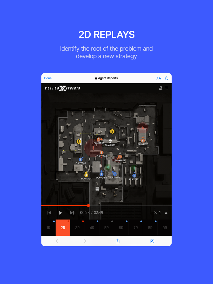 VEILED EXPERTS GLOBAL