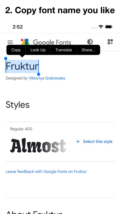 Any Font for Safari screenshot-3
