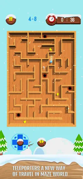 Game screenshot Maze & Snow Ball hack