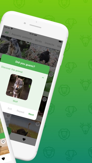 Guess Animal Sounds Screenshot