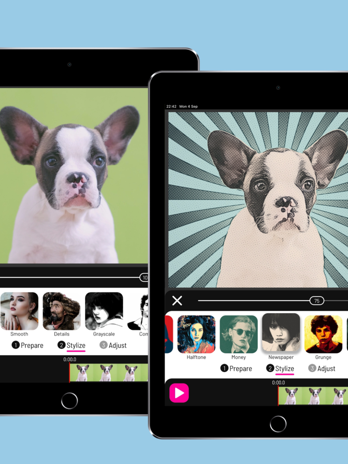 Toonita Video Pop Art Filters