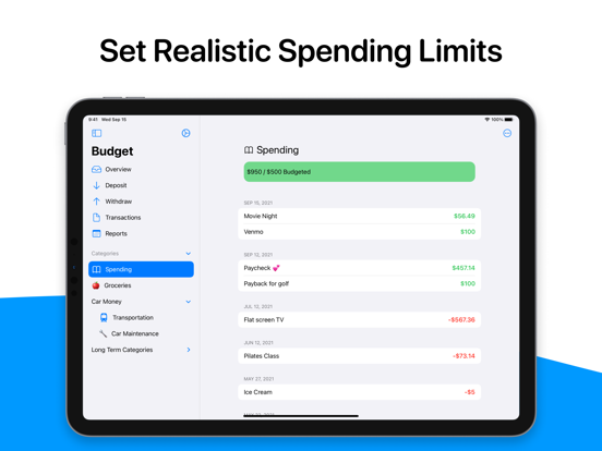 OpenBudget - Budget and Save iPad screenshot 4 - Finance app