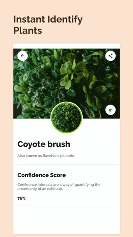 Game screenshot Plant Identification ++ Plants apk