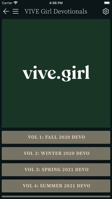 VIVE Girl Screenshot