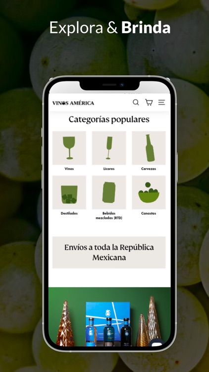 Vinos América Shop screenshot-4
