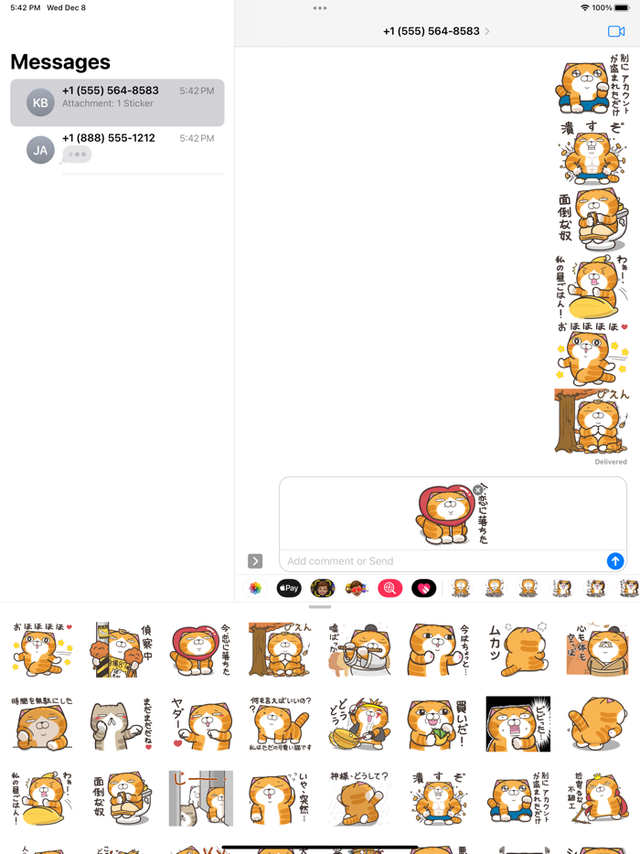 ランラン猫 20 JPN