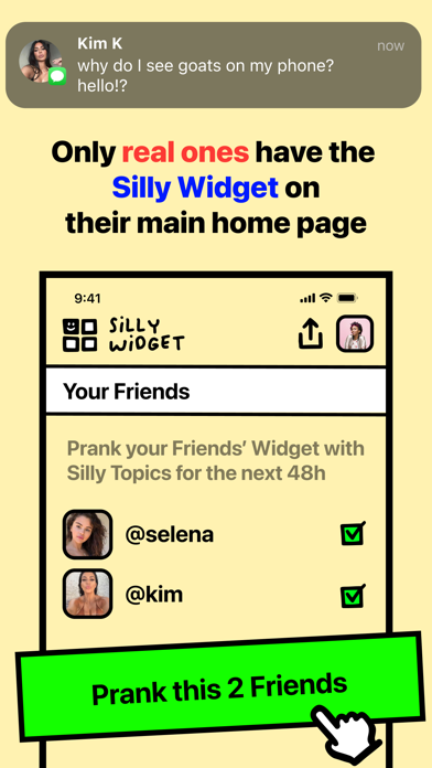 SILLY WIDGETのおすすめ画像3