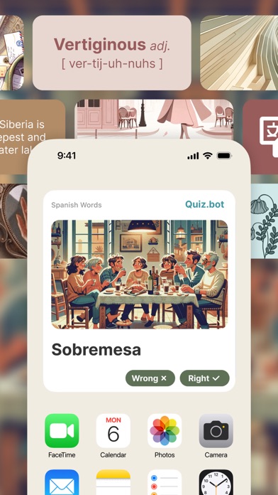 Quiz.bot - Flash cards Maker Screenshot