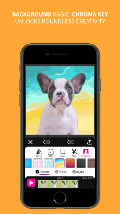 Toonita Video: Pop Art Filters screenshot-3