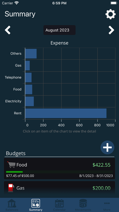My Accounts and Expenses Screenshot