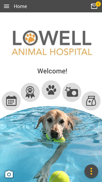 Lowell Animal Hospital Screenshot