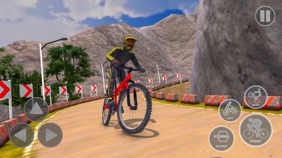 Mountain Bicycle Racing Games Screenshot