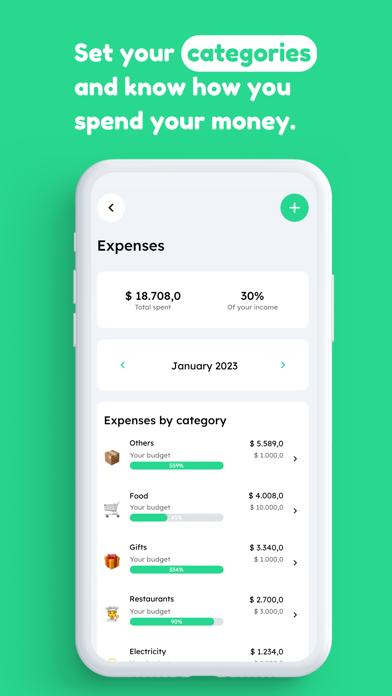 COIN Budget Planner Screenshot