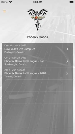 Game screenshot Phoenix Hoops mod apk