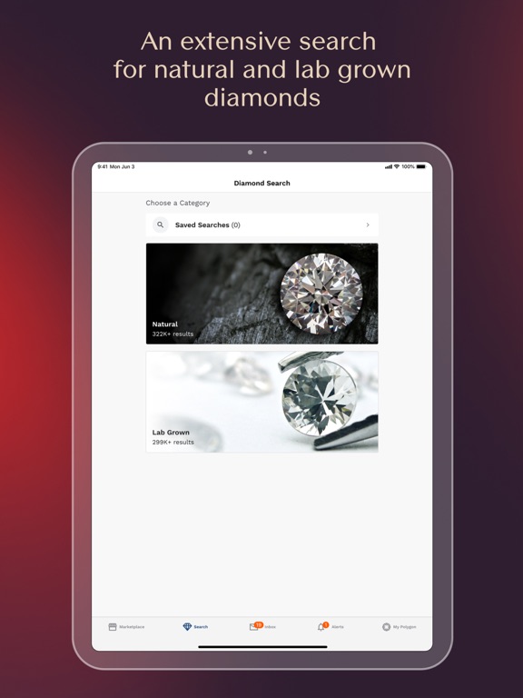 Screenshot #5 pour Polygon Jewelers