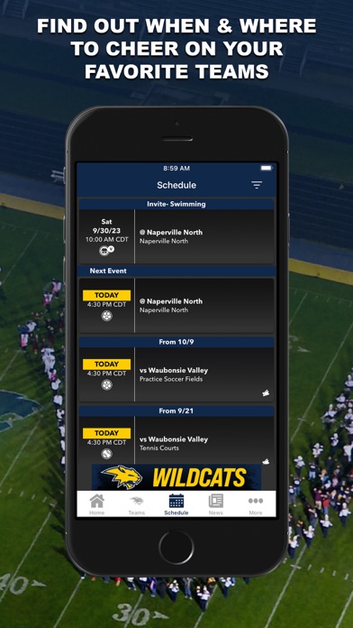 Neuqua Valley Wildcats Screenshot